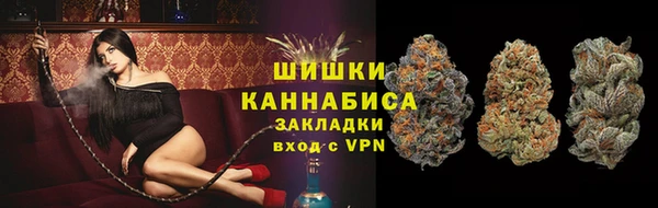 дурь Алзамай