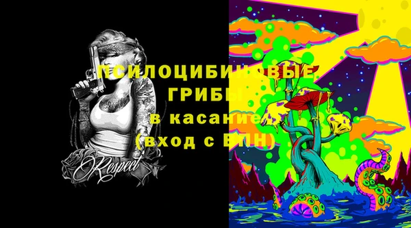 амф Алексин