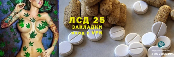 амф Алексин